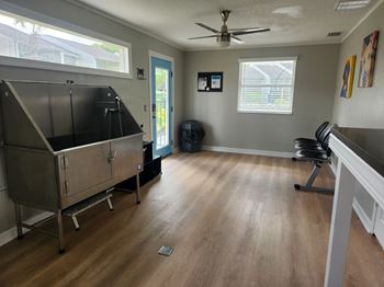 Pet spa & pet wash